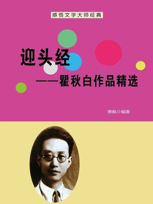 cover image of 迎头经 (Head-on Thought)